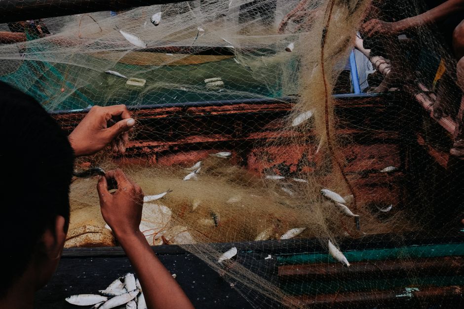 Close-up of a fisherman sorting small fish from a net on a traditional fishing boat.